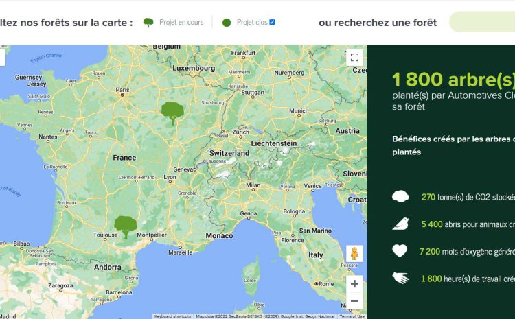 automotives cloud reforestaction